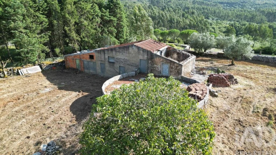 Terreno para Venda em Condeixa-A-Velha e Condeixa-A-Nova Foto 24