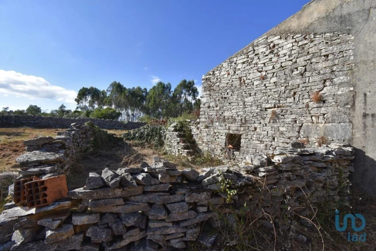 Terreno para Venda em Condeixa-A-Velha e Condeixa-A-Nova Foto 6