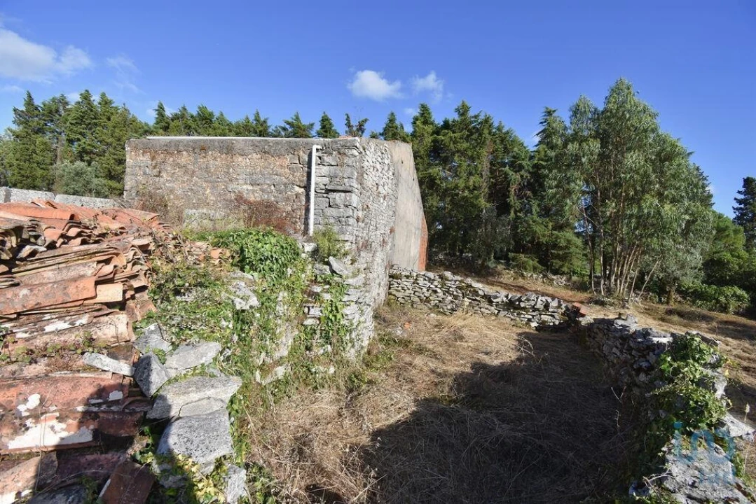 Terreno para Venda em Condeixa-A-Velha e Condeixa-A-Nova Foto 7