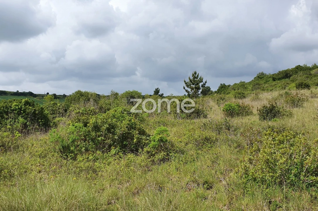 Terreno para Venda em Azambujeira e Malaqueijo Foto 13