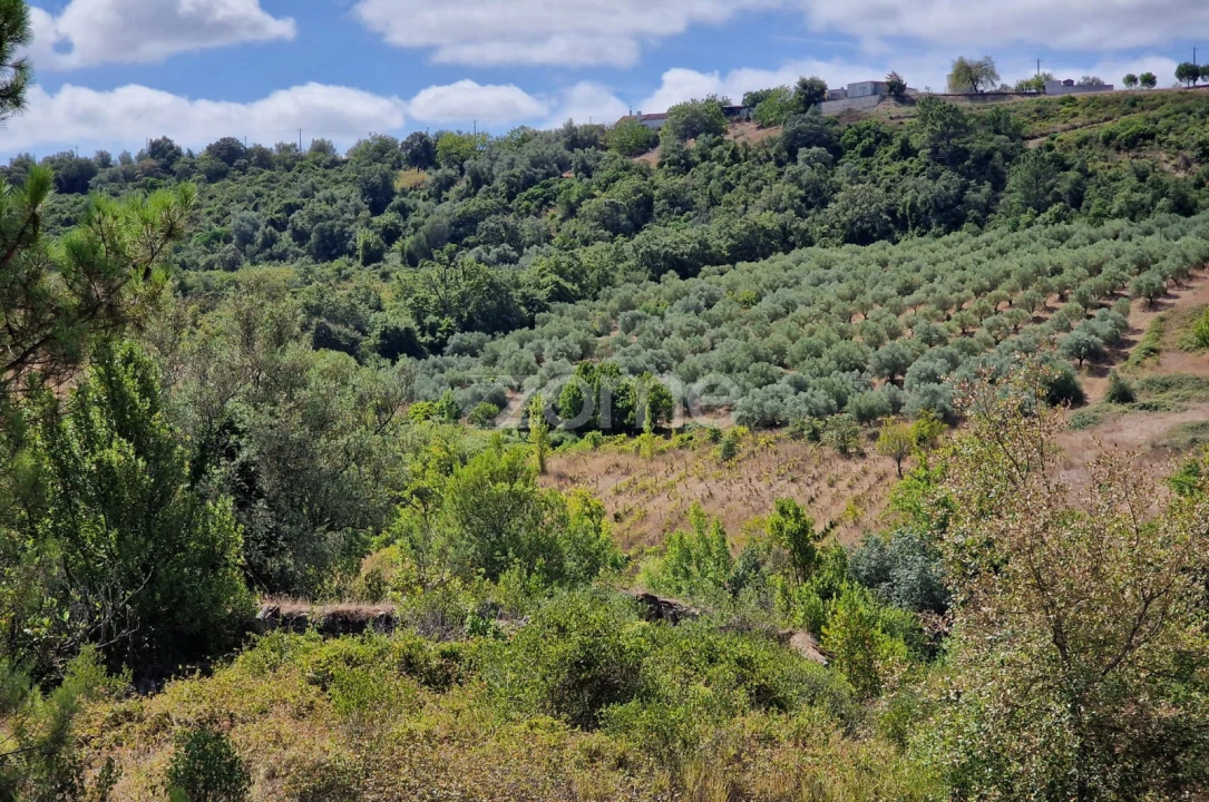 Terreno para Venda em Azambujeira e Malaqueijo Foto 13