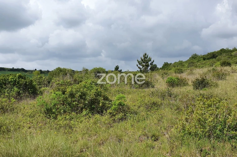Terreno para Venda em Azambujeira e Malaqueijo Foto 17