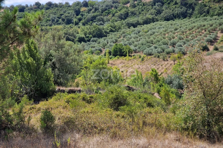 Moradia T5 para Venda em Azambujeira e Malaqueijo Foto 14