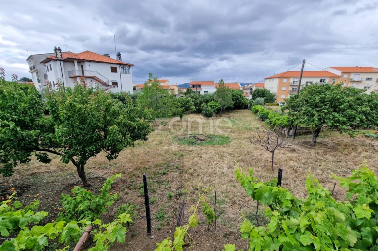 Moradia T10 para Venda em Vila Nova de Foz Côa Foto 14