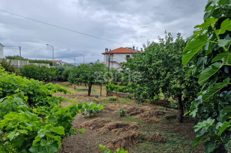 Moradia T10 para Venda em Vila Nova de Foz Côa Foto 15