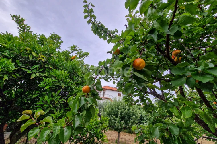 Moradia T10 para Venda em Vila Nova de Foz Côa Foto 59