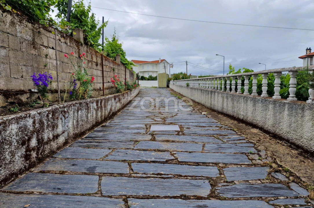Moradia T10 para Venda em Vila Nova de Foz Côa Foto 13