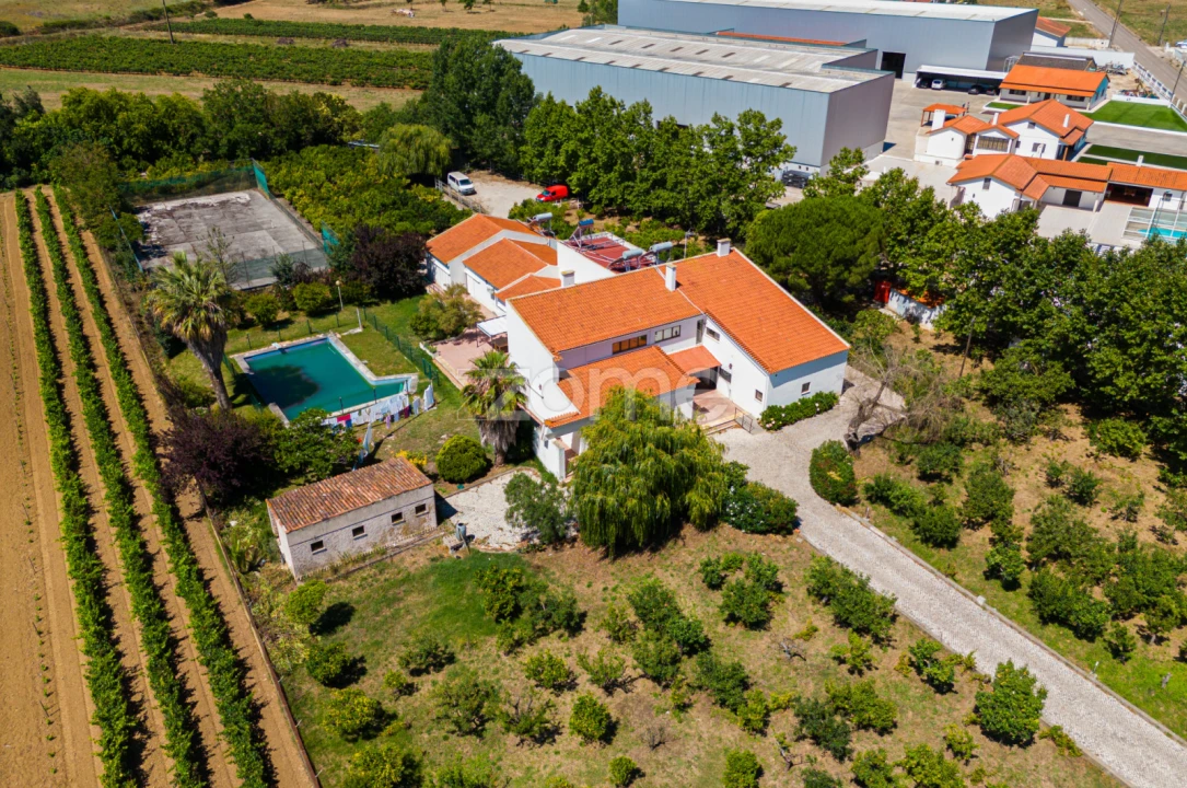 Quinta T17 para Venda em Abrigada e Cabanas de Torres Foto 6