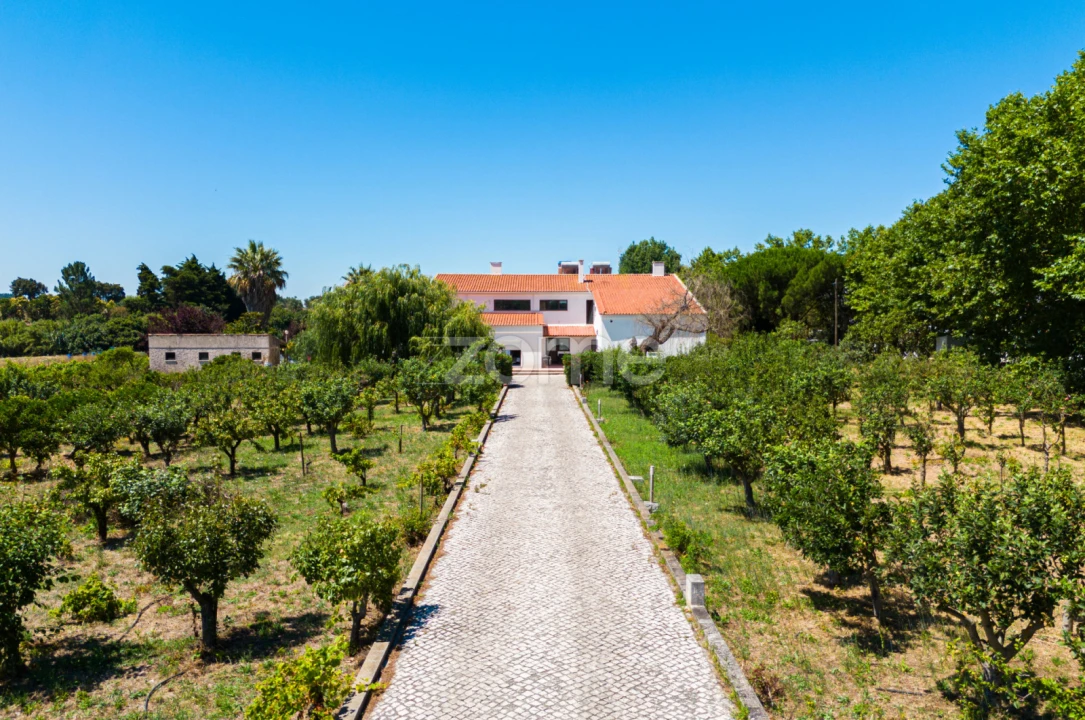 Quinta T17 para Venda em Abrigada e Cabanas de Torres Foto 18