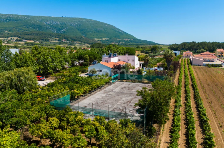 Quinta T17 para Venda em Abrigada e Cabanas de Torres Foto 8
