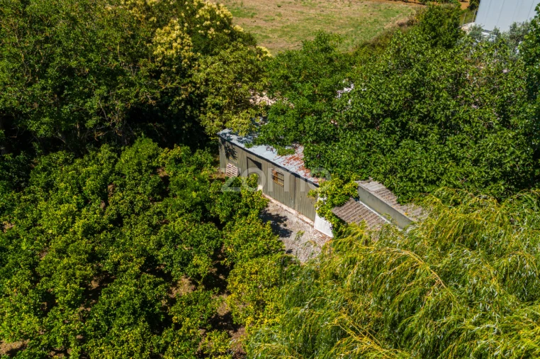 Quinta T17 para Venda em Abrigada e Cabanas de Torres Foto 13