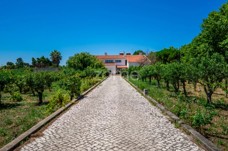 Quinta T17 para Venda em Abrigada e Cabanas de Torres Foto 21