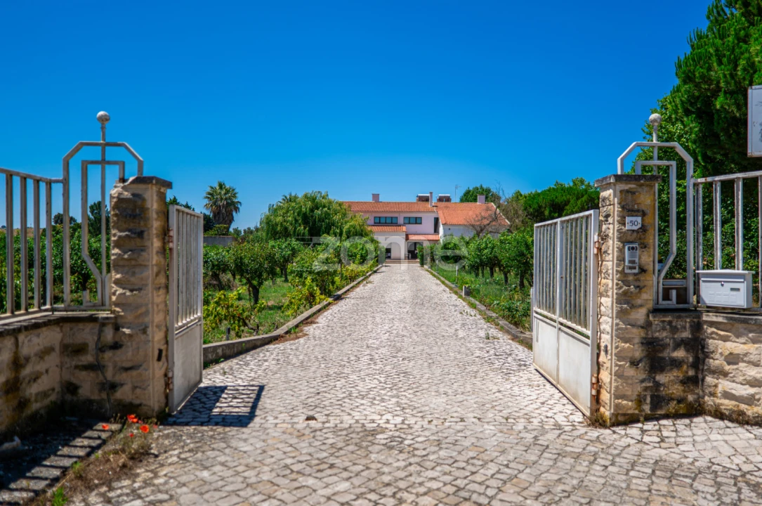 Quinta T17 para Venda em Abrigada e Cabanas de Torres Foto 19