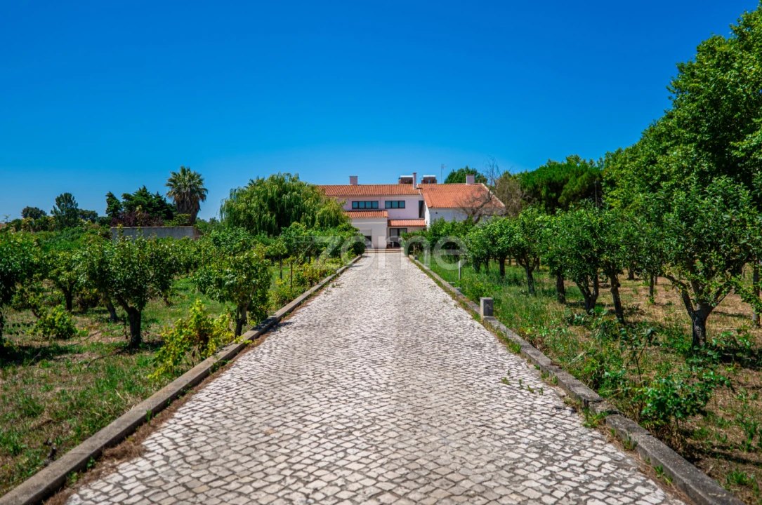 Quinta T17 para Venda em Abrigada e Cabanas de Torres Foto 21