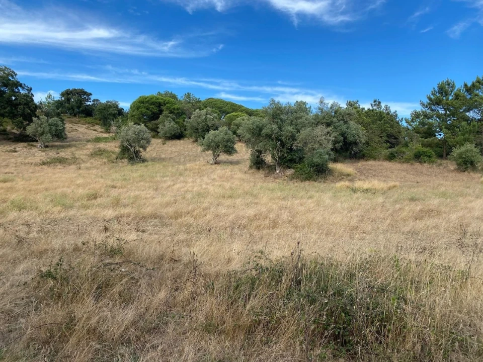 Terreno Agricola ou Rústico para Venda em Sesimbra (Castelo) Foto 3