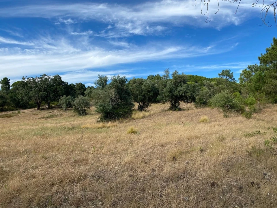 Terreno Agricola ou Rústico para Venda em Sesimbra (Castelo) Foto 1