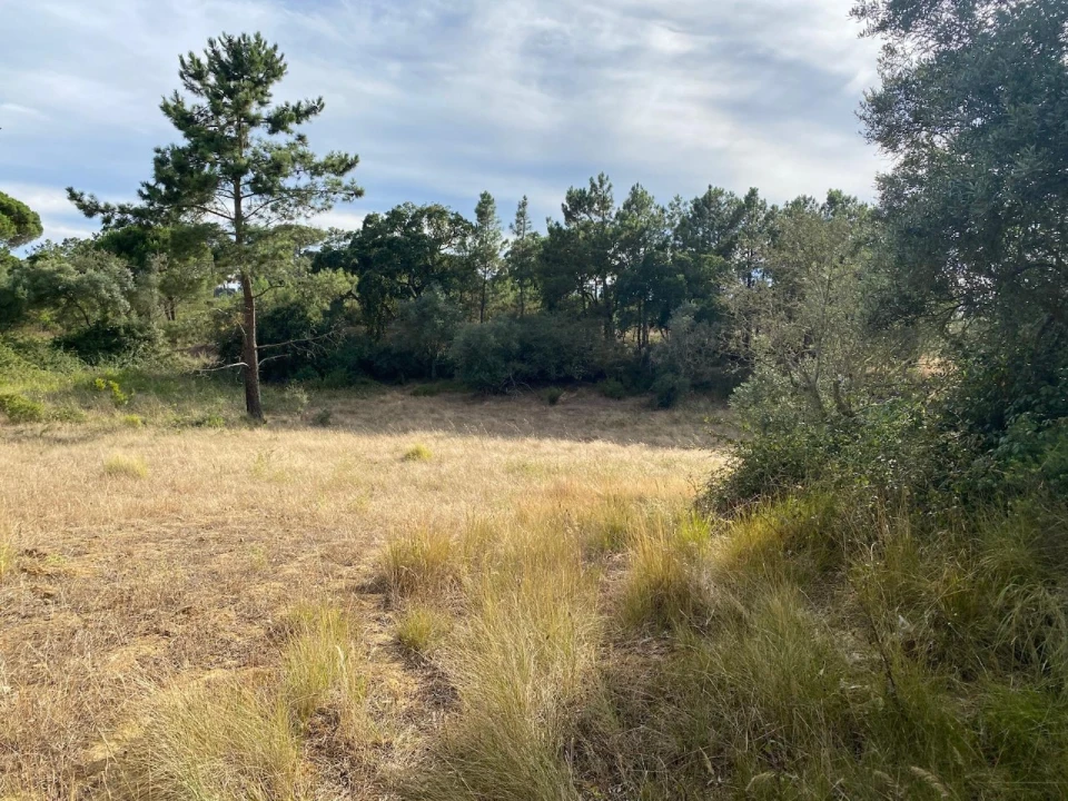 Terreno Agricola ou Rústico para Venda em Sesimbra (Castelo) Foto 5