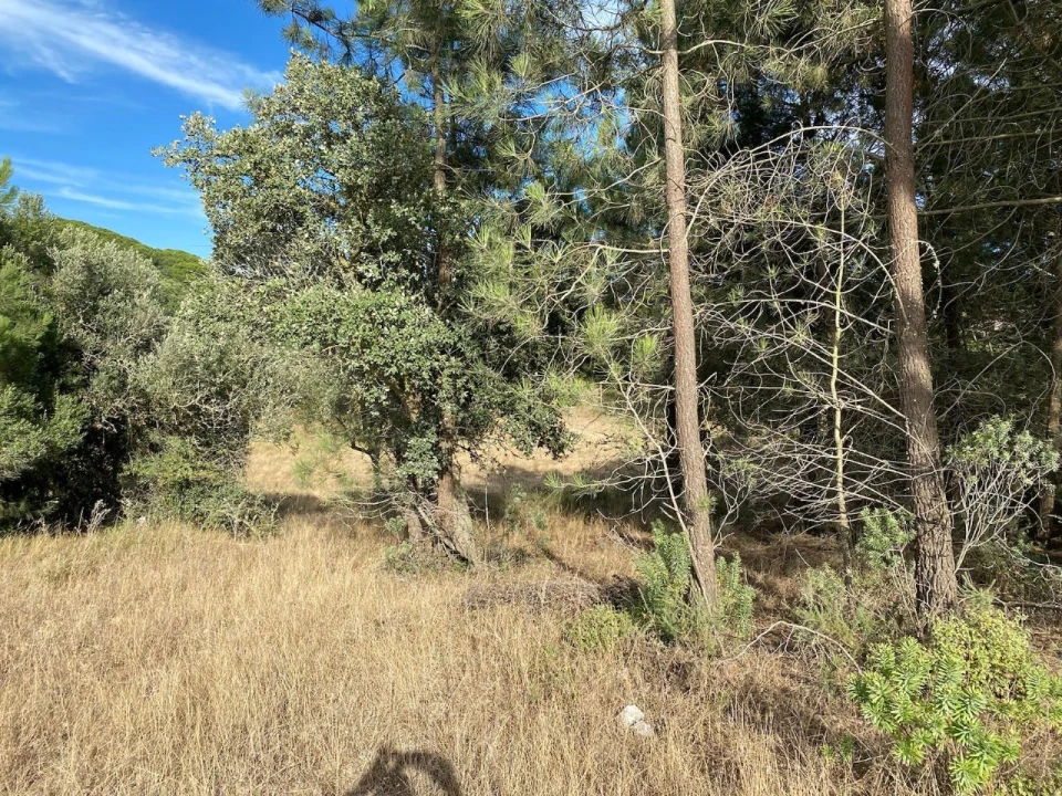 Terreno Agricola ou Rústico para Venda em Sesimbra (Castelo) Foto 6