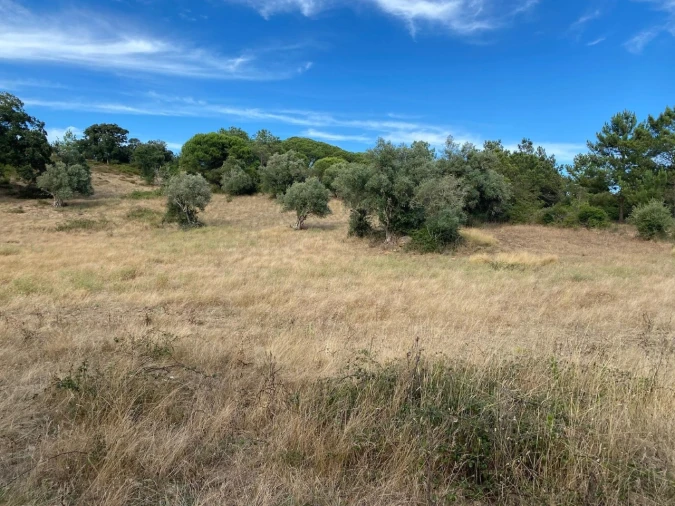 Terreno Agricola ou Rústico para Venda em Sesimbra (Castelo) Foto 3