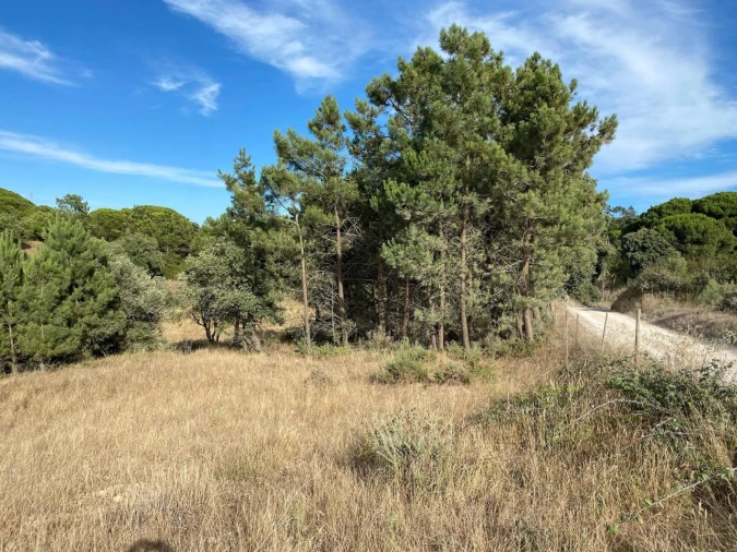 Terreno Agricola ou Rústico para Venda em Sesimbra (Castelo) Foto 2