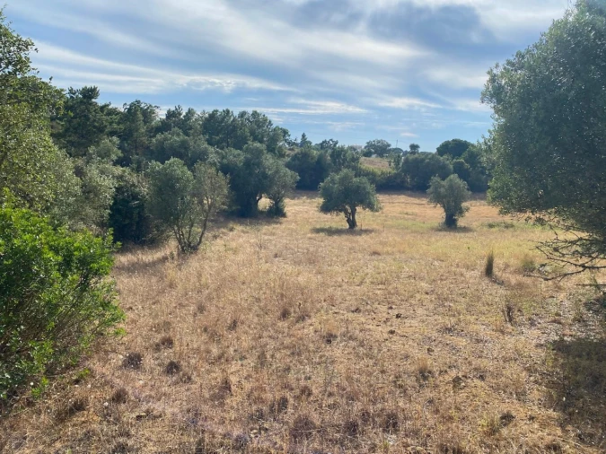 Terreno Agricola ou Rústico para Venda em Sesimbra (Castelo) Foto 7