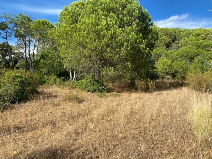 Terreno Agricola ou Rústico para Venda em Sesimbra (Castelo) Foto 8