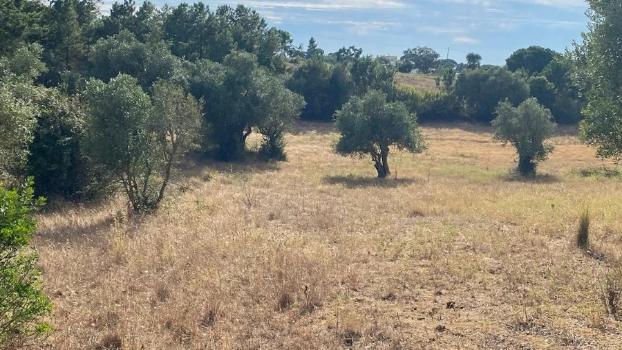 Terreno Agricola ou Rústico para Venda em Sesimbra (Castelo)