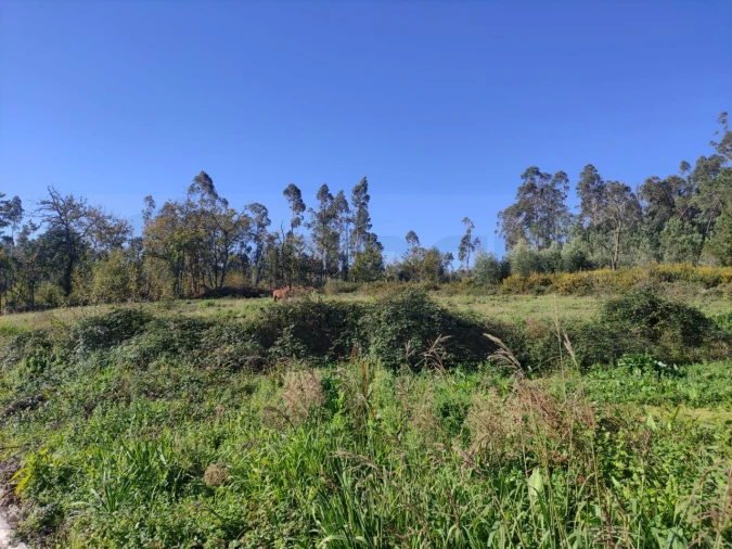 Quinta para Venda em Alquerubim Foto 11