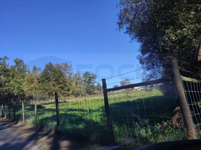 Quinta para Venda em Alquerubim Foto 12