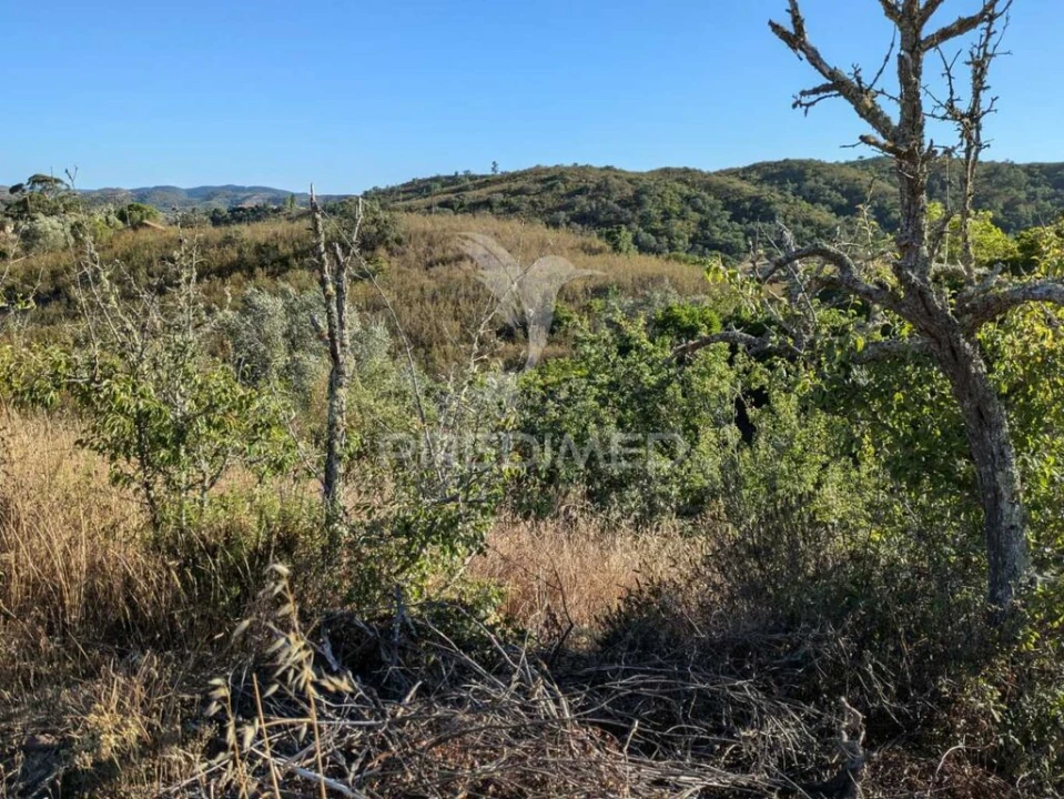 Terreno para Venda em São Marcos da Serra Foto 15