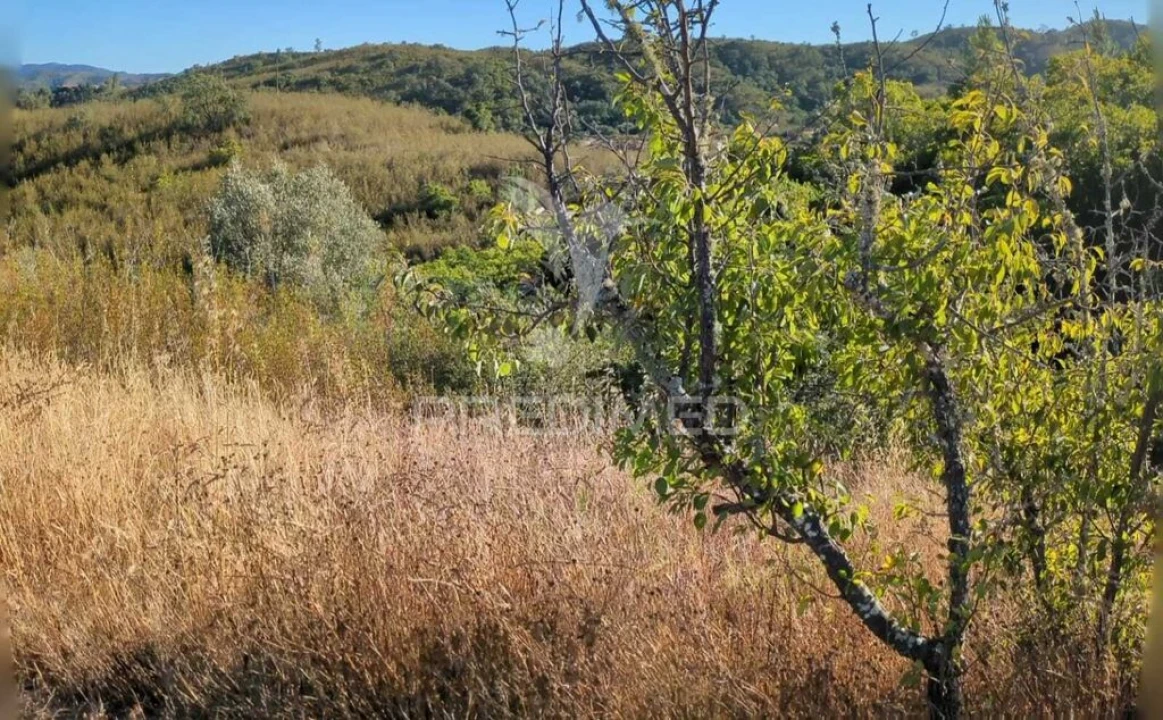 Terreno para Venda em São Marcos da Serra Foto 17
