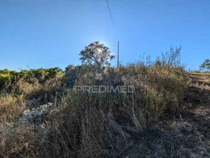 Terreno para Venda em São Marcos da Serra Foto 10