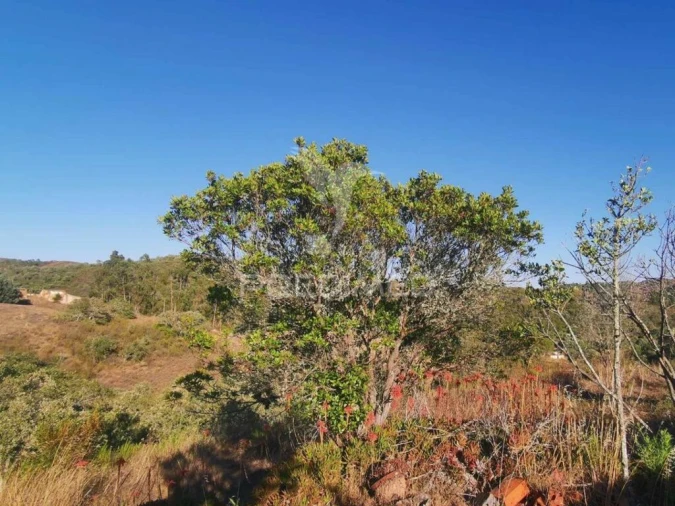 Terreno para Venda em São Marcos da Serra Foto 20