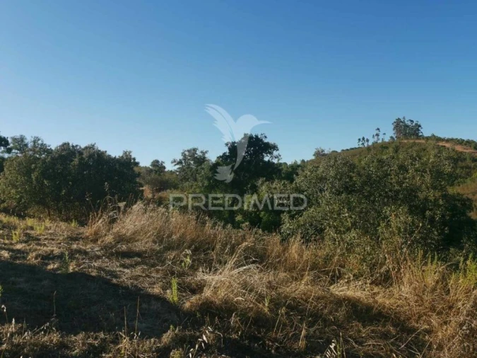Terreno para Venda em São Marcos da Serra Foto 19