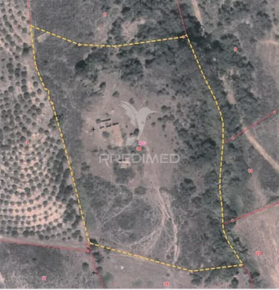 Terreno para Venda em São Marcos da Serra Foto 4