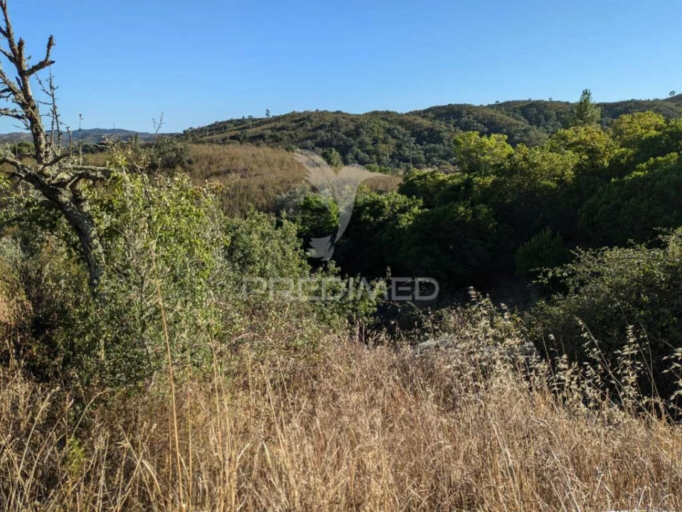 Terreno para Venda em São Marcos da Serra Foto 16