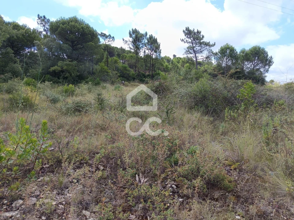 Terreno para Venda em Cernache Foto 2