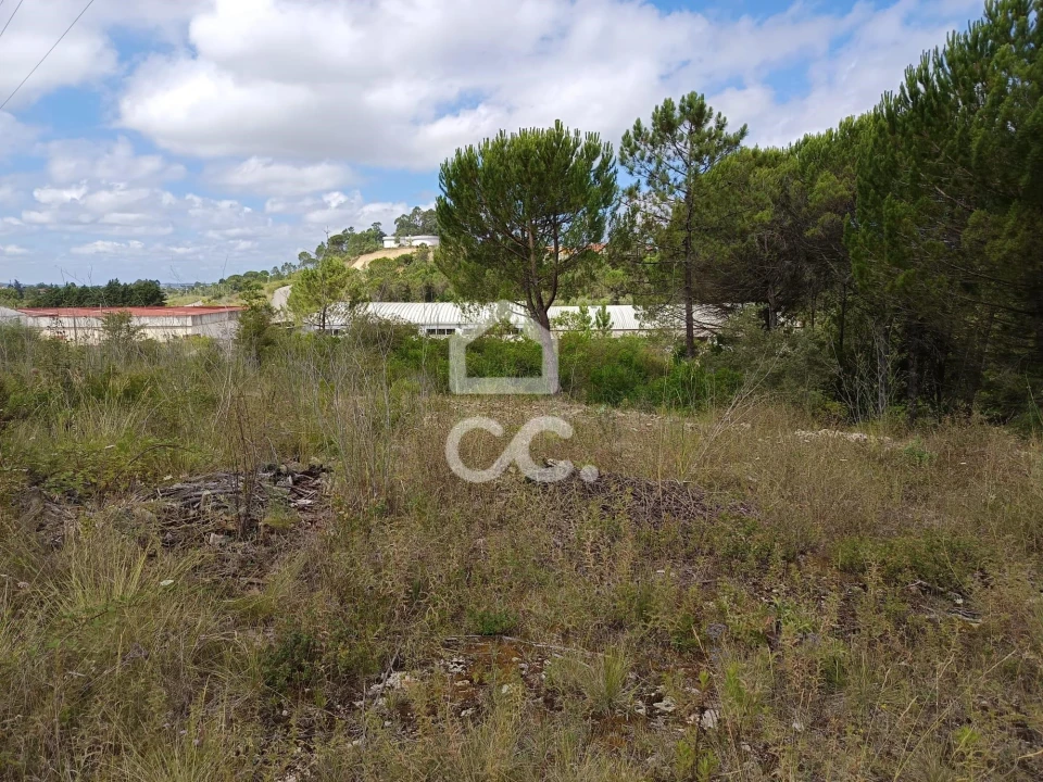 Terreno para Venda em Cernache Foto 1