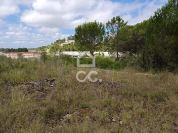 Terreno para Venda em Cernache