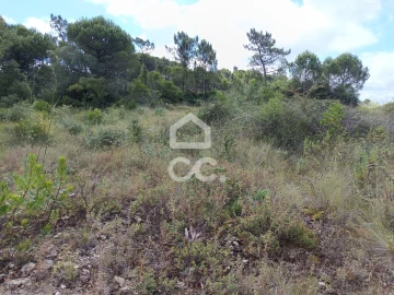 Terreno para Venda em Cernache
