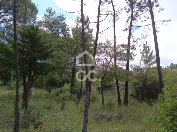 Terreno para Venda em Cernache