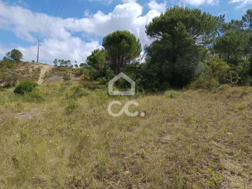 Terreno para Venda em Cernache