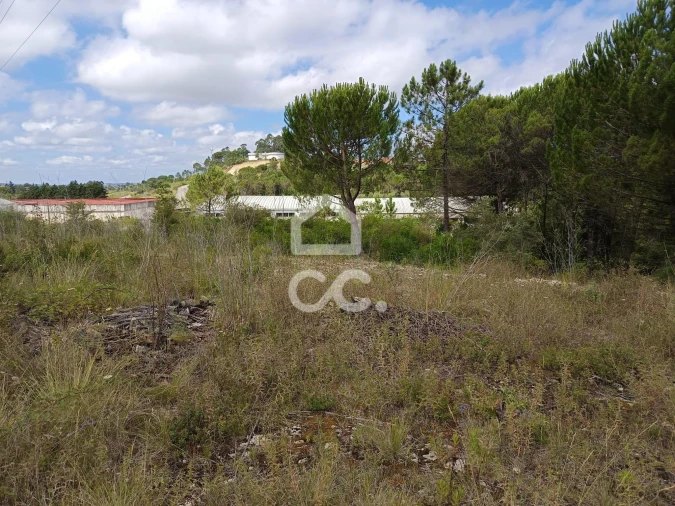Terreno para Venda em Cernache