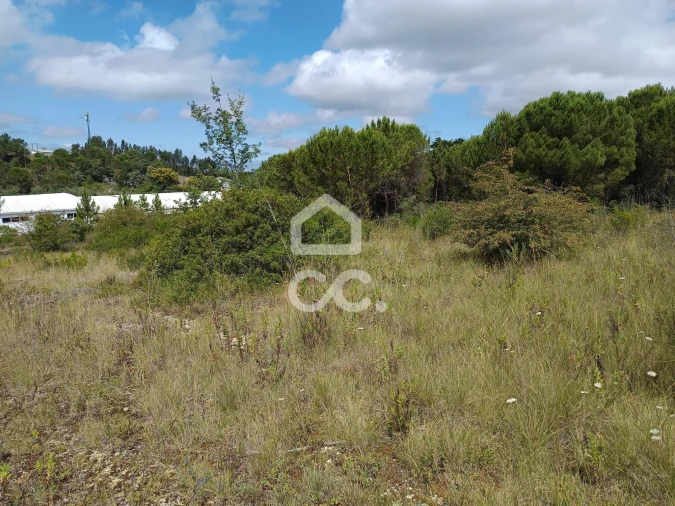 Terreno para Venda em Cernache Foto 4