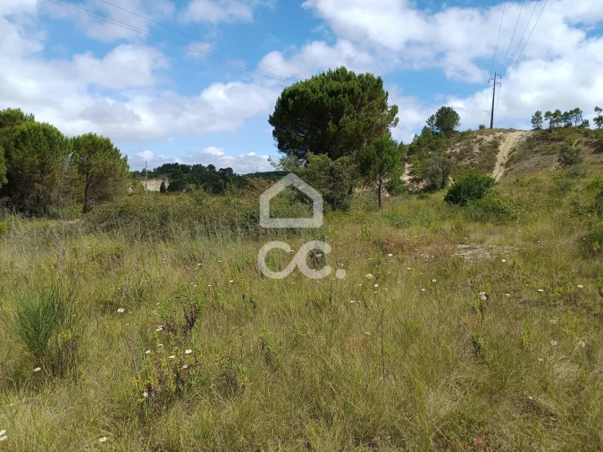 Terreno para Venda em Cernache Foto 5