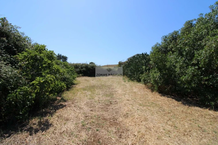 Terreno para Venda em Lagos (São Sebastião e Santa Maria) Foto 14