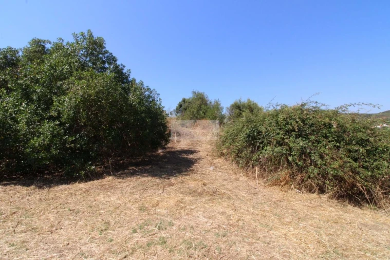 Terreno para Venda em Lagos (São Sebastião e Santa Maria) Foto 13