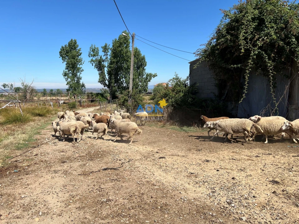 Terreno para Venda em Ladoeiro Foto 7