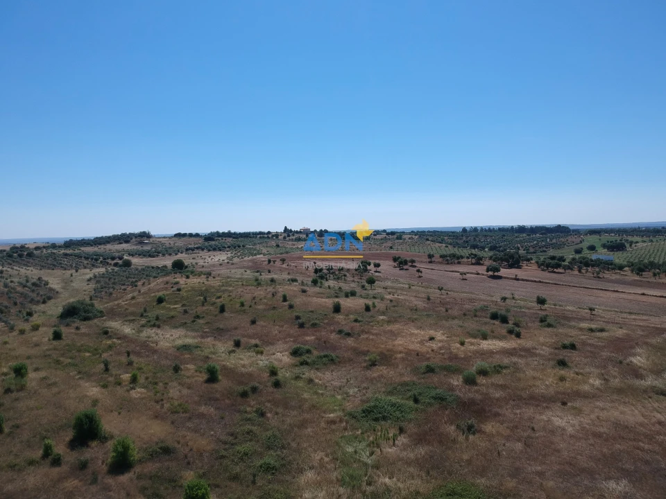 Terreno para Venda em Ladoeiro Foto 36