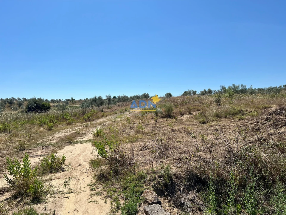 Terreno para Venda em Ladoeiro Foto 19